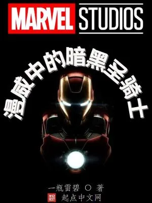 《漫威中的暗黑圣骑士》小说封面