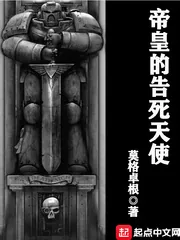 《帝皇的告死天使》小说封面